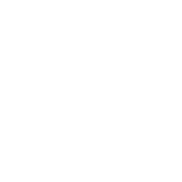 circle-double-custom